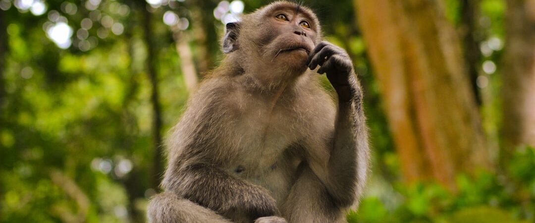 La Réflexion Verbalisée (Chain of Thought) n’est pas ce que nous pensions : révélations d’Anthropic