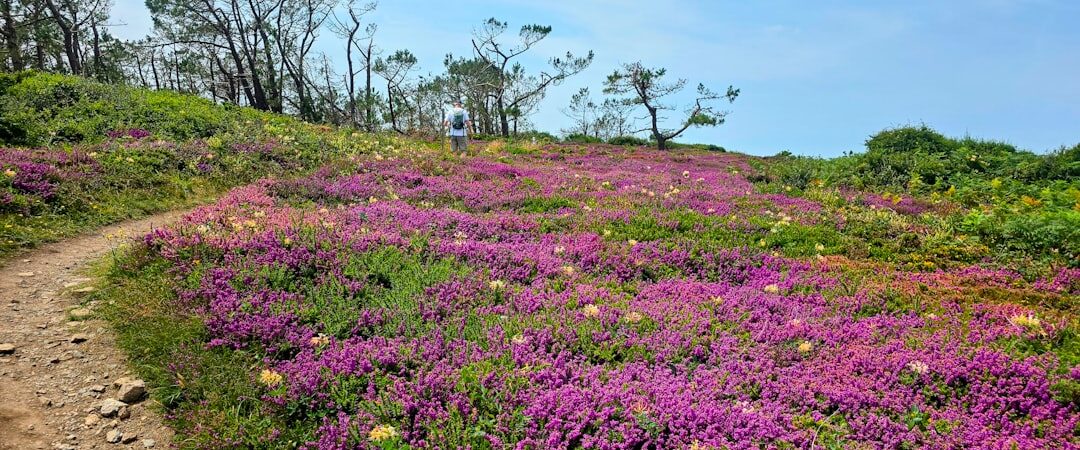 Comment les Tarifs Douaniers Impacteront-ils l’Industrie de l’IA ?