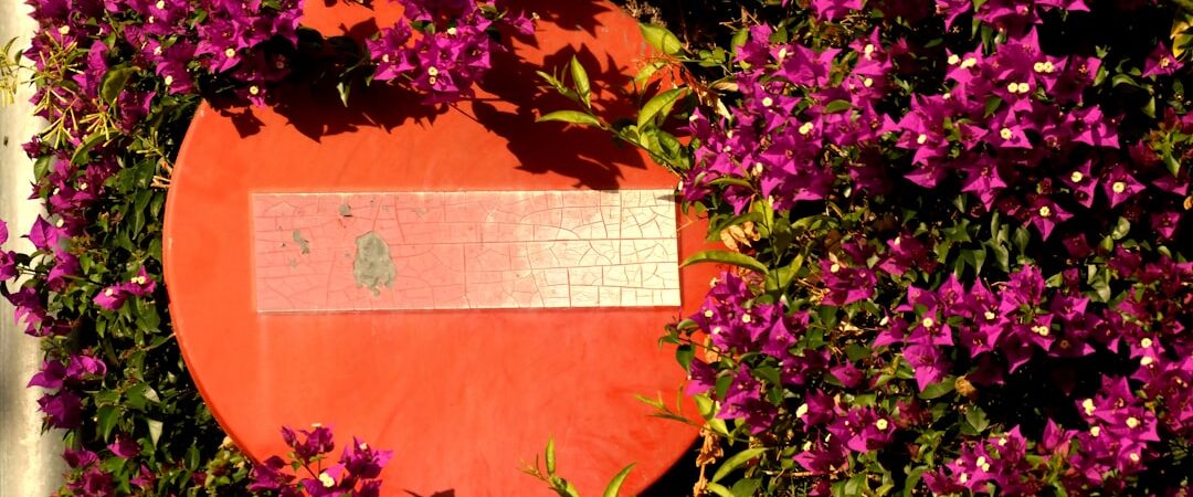 DeepSeek bientôt interdit aux États-Unis ? Les tensions géopolitiques autour de l’IA s’intensifient