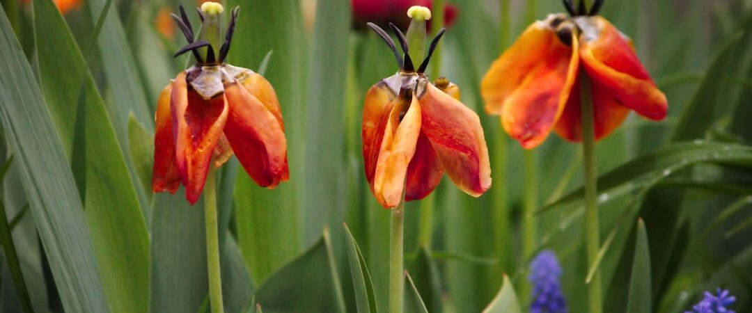 L’IA vient de battre les humains dans la gestion d’entreprise : analyse de VendingBench