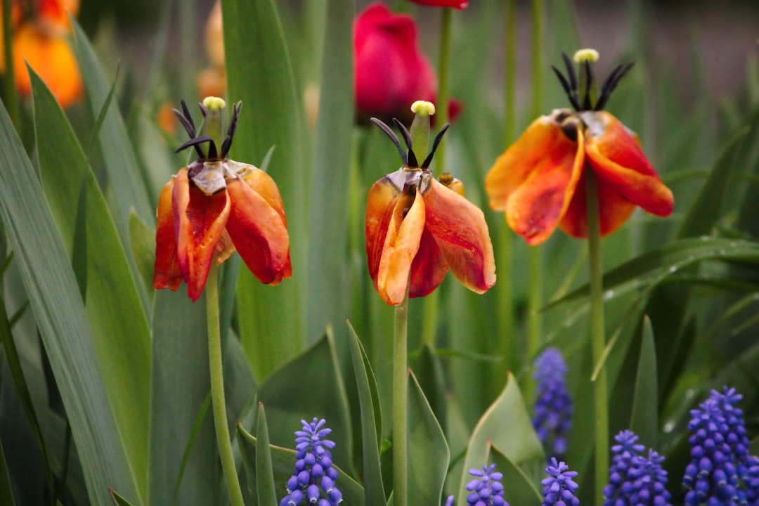 L’IA vient de battre les humains dans la gestion d’entreprise : analyse de VendingBench