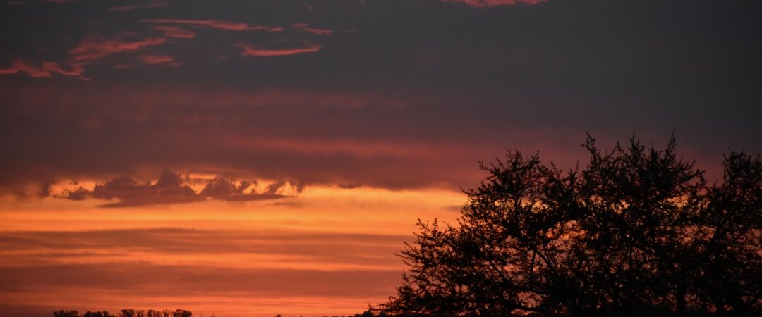 Un Ancien Directeur de Google Révèle Tout sur l’IA : Entre Progrès Technologiques et Préoccupations Éthiques
