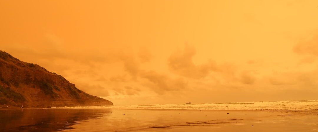 Nouvelle IA : Des Créatures Impossibles Prennent Vie !