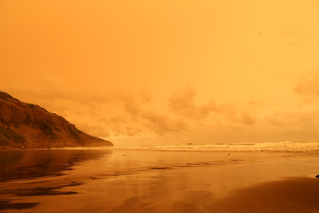 Nouvelle IA : Des Créatures Impossibles Prennent Vie !