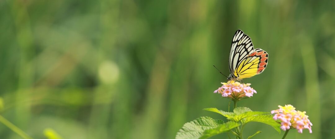 Codex d’OpenAI : Une révolution dans le développement logiciel