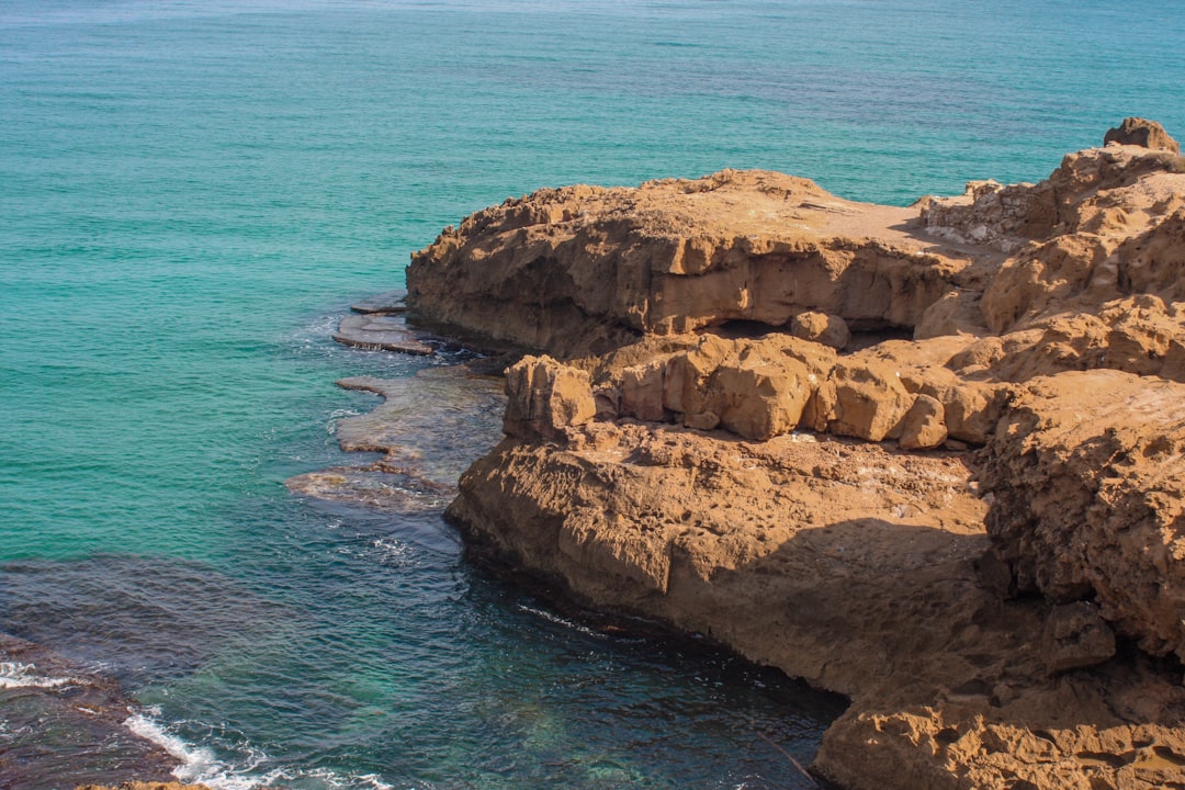 La « Vague de Nouvelles Technologies IA Incroyables » Prévue pour le Mois Prochain